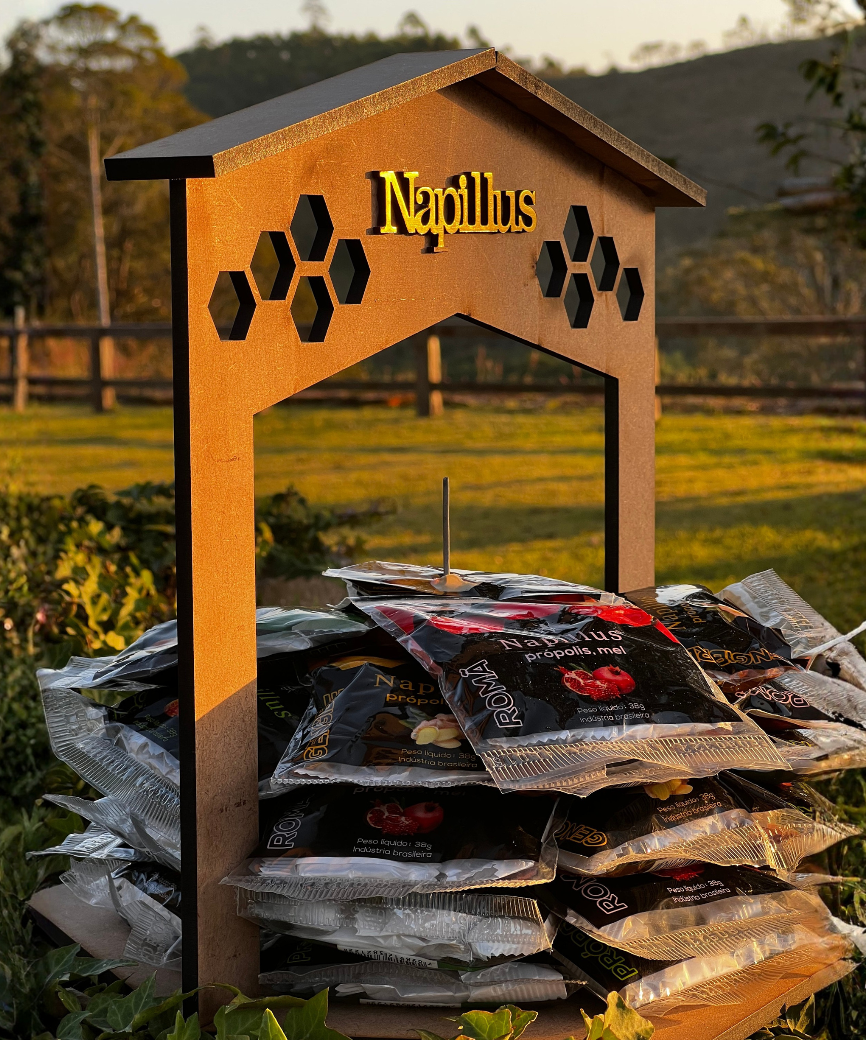 Expositor balas napillus