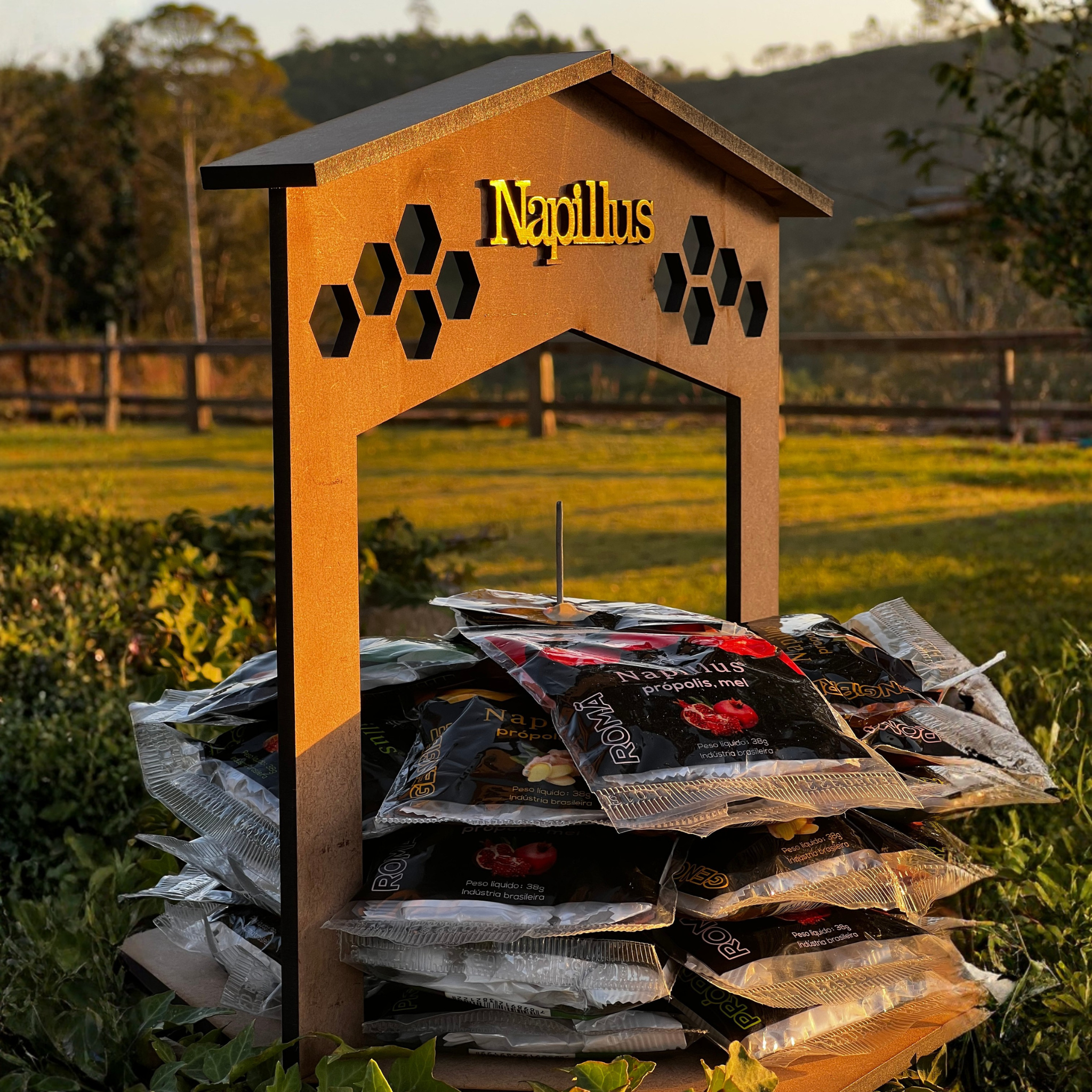 Expositor balas napillus