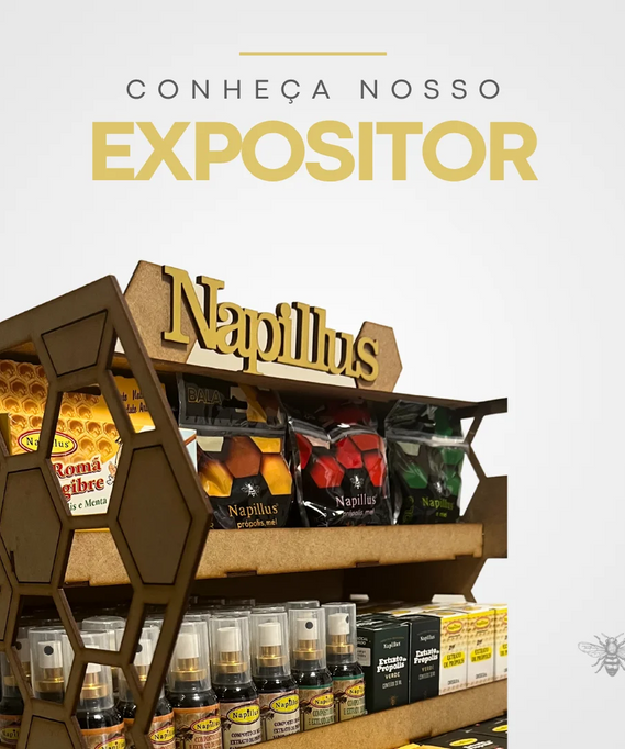 Expositor colmeia