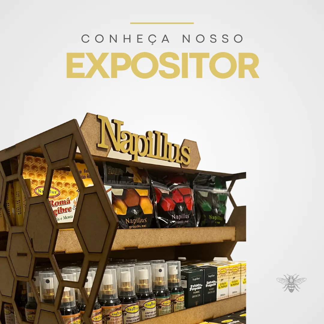Expositor colmeia